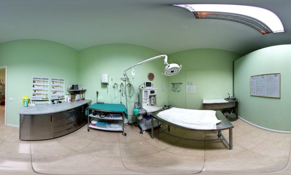 BALTAVET – PYMES DE BALTA EN 360