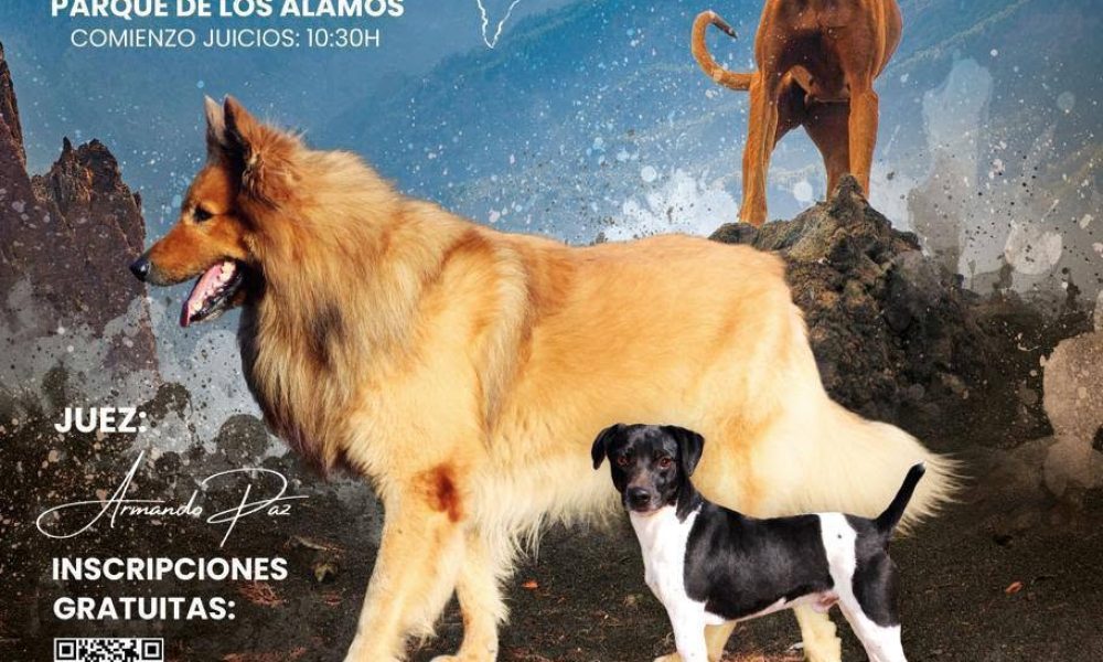 I CONCURSO CANINO BREÑA ALTA