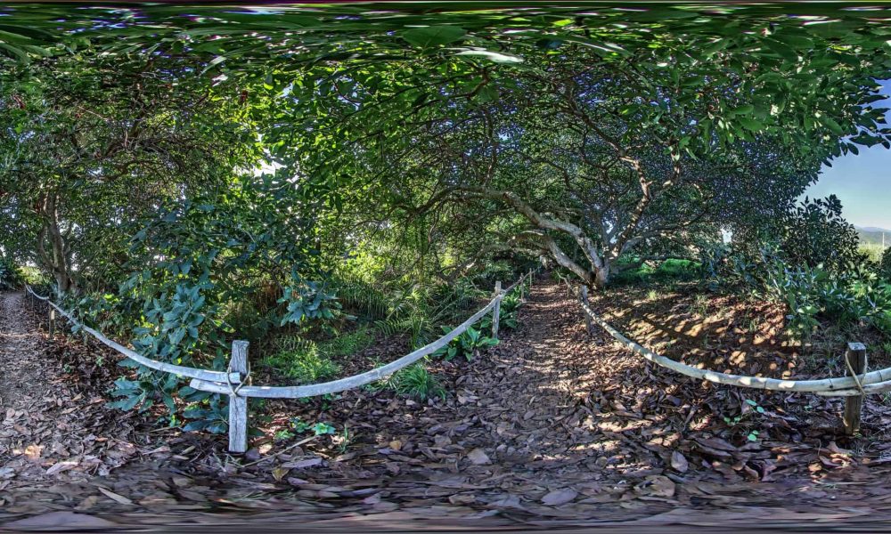 Finca La Principal se une al programa de Digitalización Comercial con Google Street View 2022