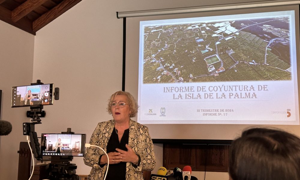 Informe de Coyuntura Económica de la Palma – Tercer Trimestre 2024