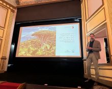 Fedepalma presenta el Informe de Coyuntura de la IsIa de La Palma del IV Trimestre 2025