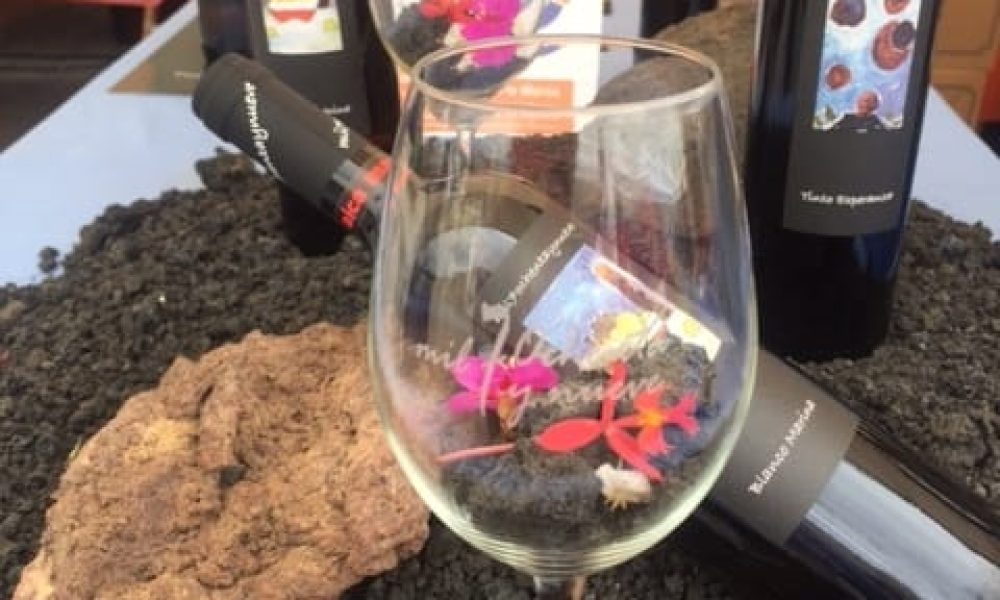 La Fiesta del Vino con Sabor a Verano de Breña Alta registró casi 5.000 degustaciones